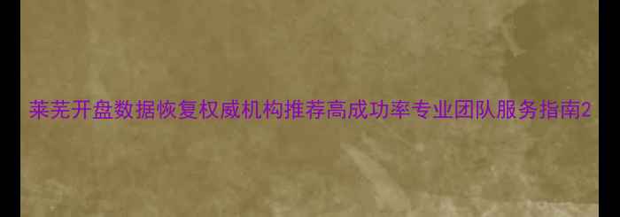 图片 莱芜开盘数据恢复权威机构推荐高成功率专业团队服务指南2