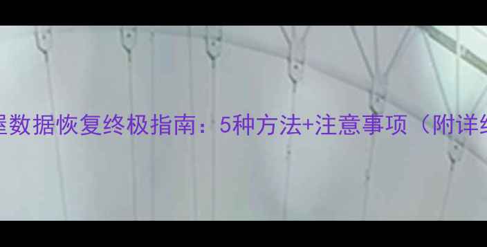 落樱小屋数据恢复终极指南5种方法注意事项附详细教程