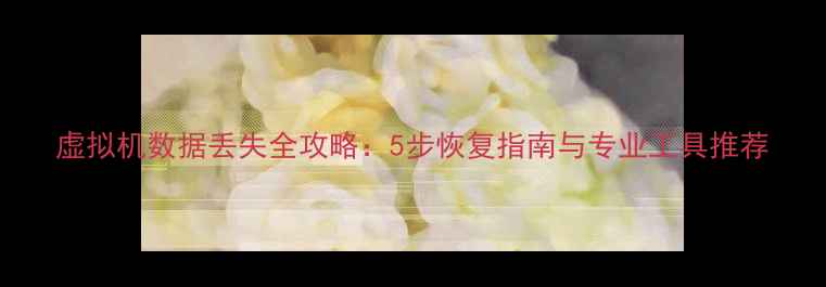 图片 虚拟机数据丢失全攻略：5步恢复指南与专业工具推荐