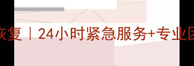 图片 蚌山区硬盘数据恢复｜24小时紧急服务+专业团队+成功案例全1