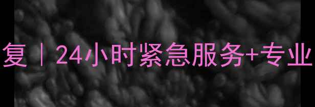 图片 蚌山区硬盘数据恢复｜24小时紧急服务+专业团队+成功案例全2