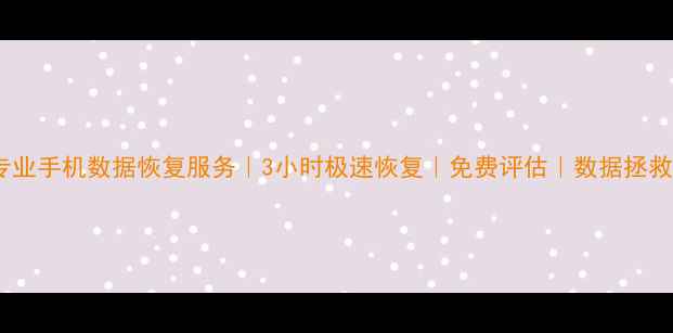衡阳专业手机数据恢复服务3小时极速恢复免费评估数据拯救专家