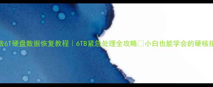 图片 西数6T硬盘数据恢复教程｜6TB紧急处理全攻略✅小白也能学会的硬核指南