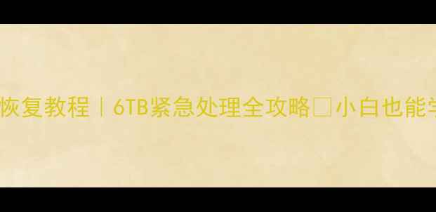 图片 西数6T硬盘数据恢复教程｜6TB紧急处理全攻略✅小白也能学会的硬核指南1