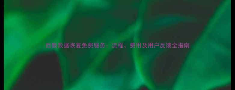 西数数据恢复免费服务流程费用及用户反馈全指南