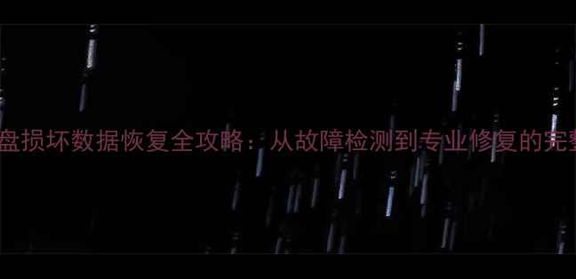 图片 西数磁盘损坏数据恢复全攻略：从故障检测到专业修复的完整指南1
