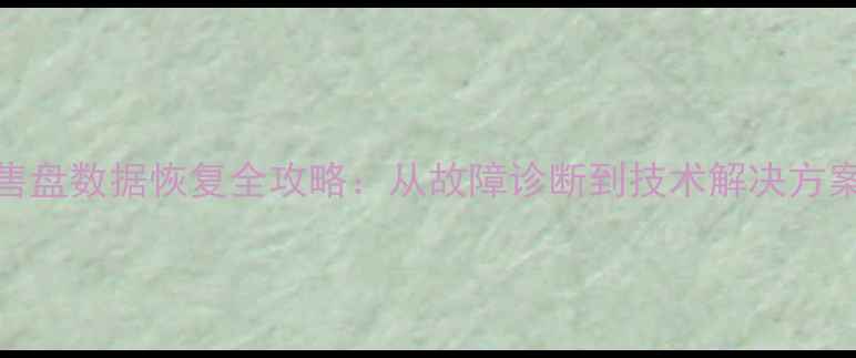 西部数据零售盘数据恢复全攻略从故障诊断到技术解决方案的完整指南