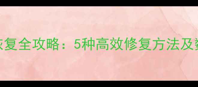 图片 词典数据包恢复全攻略：5种高效修复方法及数据安全指南