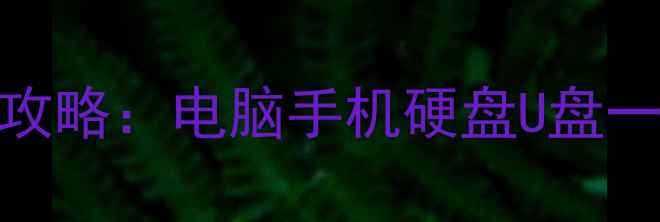 图片 误删丢失格式化数据恢复全攻略：电脑手机硬盘U盘一键恢复教程及专业工具推荐