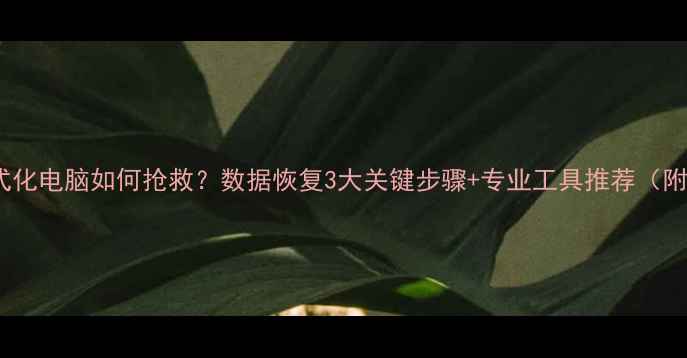 图片 误删文件误格式化电脑如何抢救？数据恢复3大关键步骤+专业工具推荐（附误操作案例）1