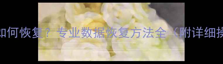 图片 误删照片如何恢复？专业数据恢复方法全（附详细操作指南）