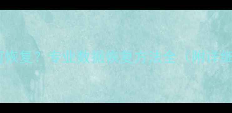 误删照片如何恢复专业数据恢复方法全附详细操作指南