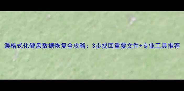 图片 误格式化硬盘数据恢复全攻略：3步找回重要文件+专业工具推荐