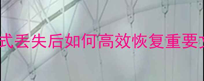 图片 读卡器数据恢复全攻略：格式丢失后如何高效恢复重要文件（步骤详解+工具推荐）