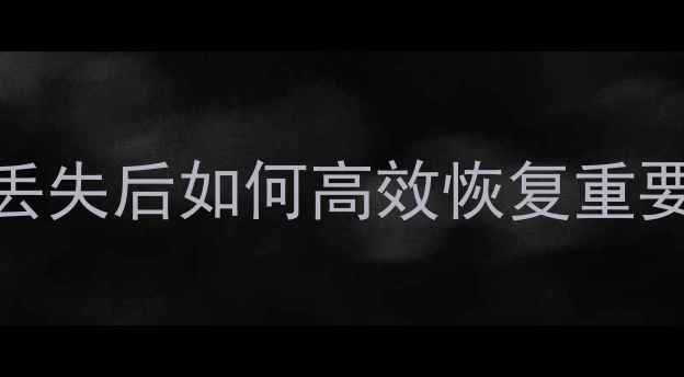 图片 读卡器数据恢复全攻略：格式丢失后如何高效恢复重要文件（步骤详解+工具推荐）2
