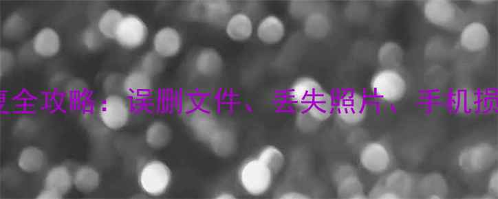 豆包手机数据恢复全攻略误删文件丢失照片手机损坏如何专业修复