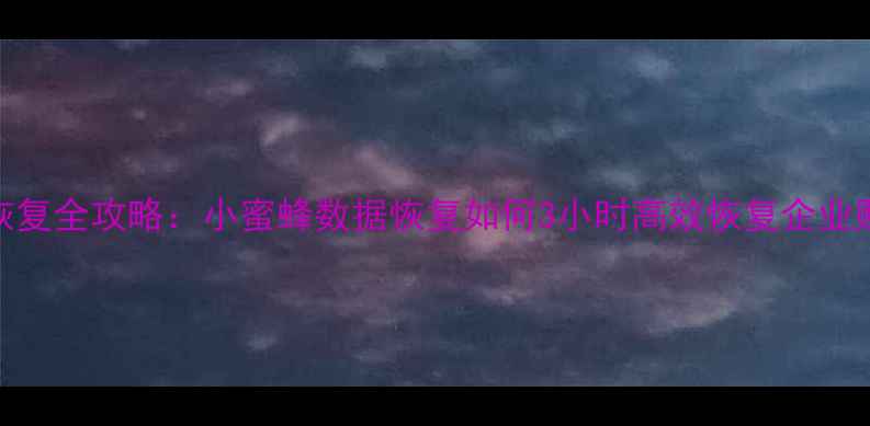 图片 财务数据恢复全攻略：小蜜蜂数据恢复如何3小时高效恢复企业账套与凭证