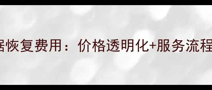 图片 迅龙数据恢复费用：价格透明化+服务流程全公开2
