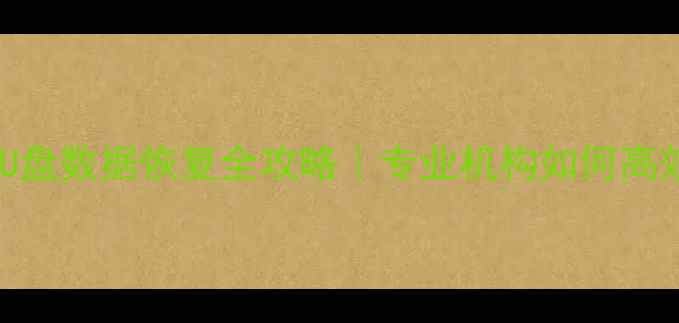 图片 连云港手机电脑U盘数据恢复全攻略｜专业机构如何高效恢复丢失文件1