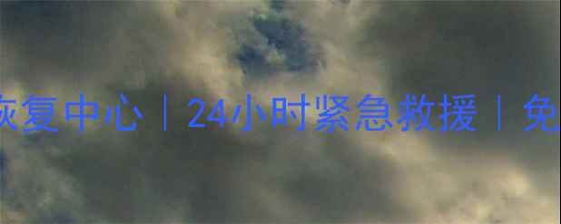 图片 邓州电脑手机数据恢复中心｜24小时紧急救援｜免费诊断｜电话：-X2