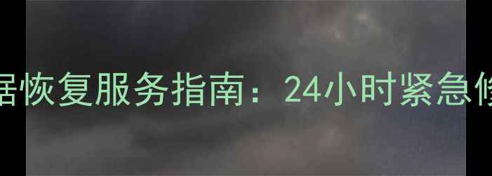 邵阳市专业数据恢复服务指南24小时紧急修复成功案例