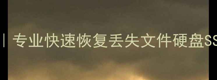 图片 郑州电脑数据恢复专家｜专业快速恢复丢失文件硬盘SSD数据｜本地上门服务1