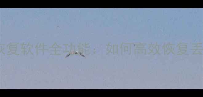 酷狼数据恢复软件全功能如何高效恢复丢失文件