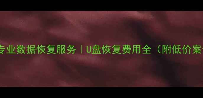 图片 重庆专业数据恢复服务｜U盘恢复费用全（附低价案例）1