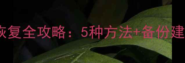 图片 重装系统后数据库恢复全攻略：5种方法+备份建议（附详细步骤）1