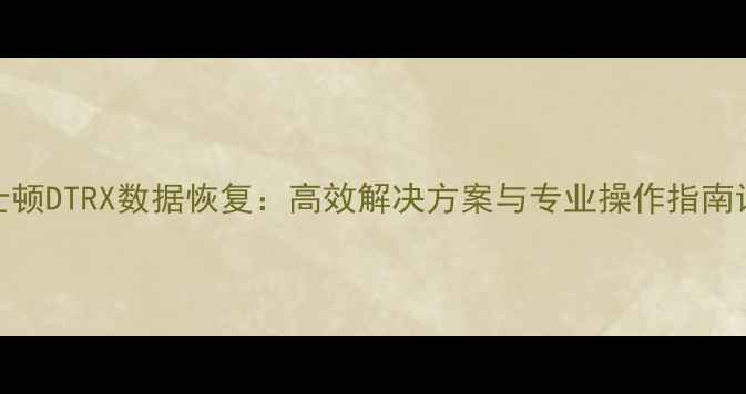 图片 金士顿DTRX数据恢复：高效解决方案与专业操作指南详解