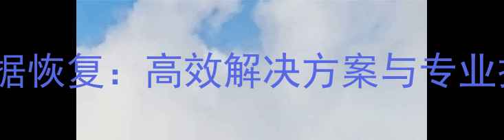 图片 金士顿DTRX数据恢复：高效解决方案与专业操作指南详解1