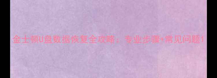 图片 金士顿U盘数据恢复全攻略：专业步骤+常见问题1