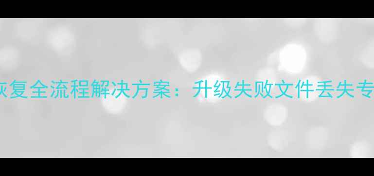 金税盘数据恢复全流程解决方案升级失败文件丢失专业修复指南