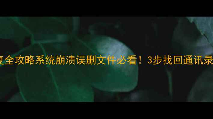 金立手机数据恢复全攻略系统崩溃误删文件必看3步找回通讯录照片备忘录