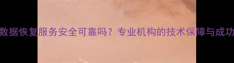 金舟数据恢复服务安全可靠吗专业机构的技术保障与成功案例