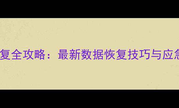 银豹订单恢复全攻略最新数据恢复技巧与应急处理方案