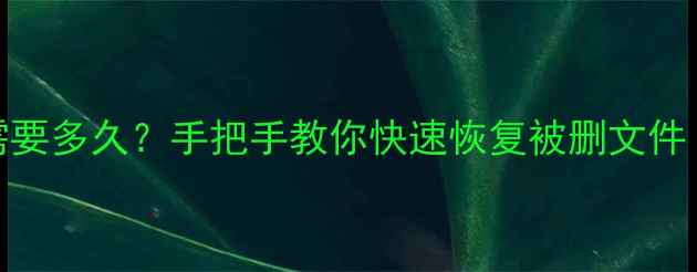 图片 销户数据恢复需要多久？手把手教你快速恢复被删文件（附详细教程）
