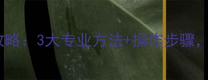 图片 闪存卡数据恢复全攻略：3大专业方法+操作步骤，快速找回重要文件1
