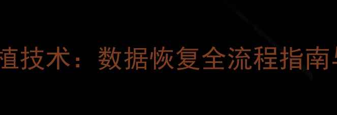 图片 闪存颗粒移植技术：数据恢复全流程指南与实战案例2