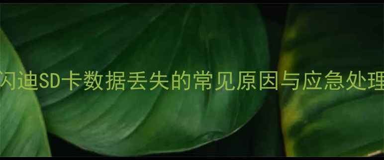 图片 闪迪SD卡数据丢失的常见原因与应急处理