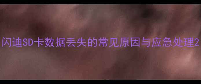 闪迪SD卡数据丢失的常见原因与应急处理