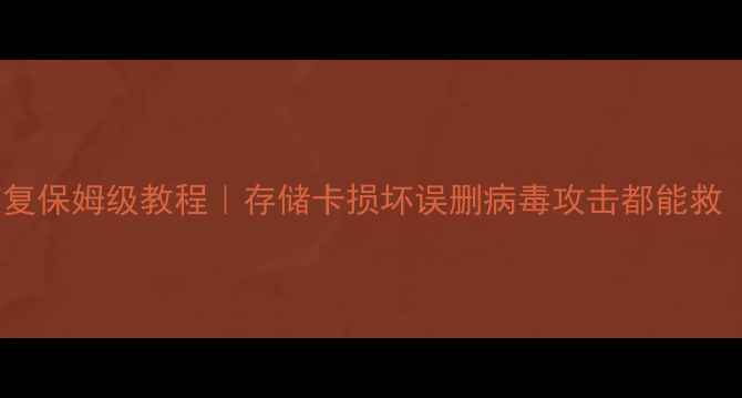 图片 闪迪U盘数据恢复保姆级教程｜存储卡损坏误删病毒攻击都能救（附避坑指南）