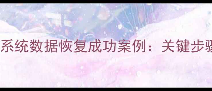 陕西个税系统数据恢复成功案例关键步骤与经验