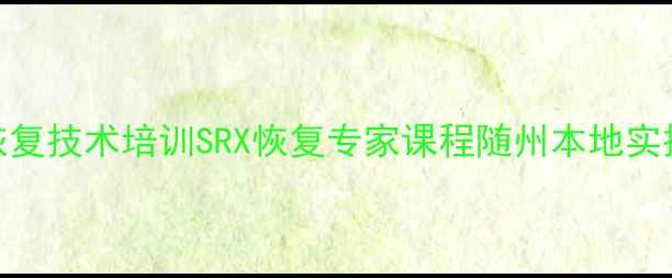 随州数据恢复技术培训SRX恢复专家课程随州本地实操培训中心