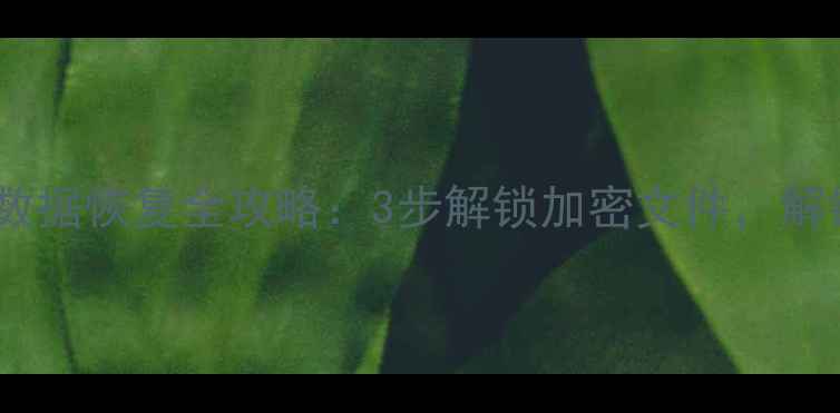 图片 隐私保险箱数据恢复全攻略：3步解锁加密文件，解锁完整教程1