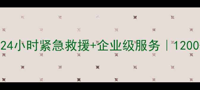 图片 霸州硬盘数据恢复中心｜24小时紧急救援+企业级服务｜1200+成功案例数据恢复指南1