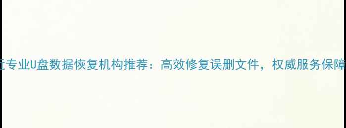 图片 静安寺附近专业U盘数据恢复机构推荐：高效修复误删文件，权威服务保障数据安全1