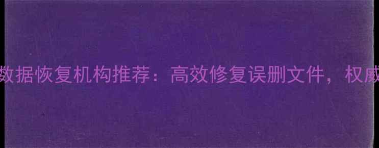图片 静安寺附近专业U盘数据恢复机构推荐：高效修复误删文件，权威服务保障数据安全2