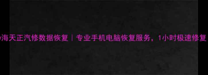 图片 静海天正汽修数据恢复｜专业手机电脑恢复服务，1小时极速修复！