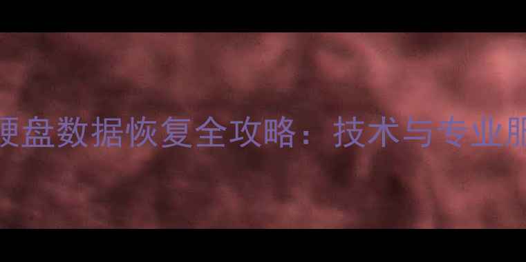 图片 非损坏硬盘数据恢复全攻略：技术与专业服务指南